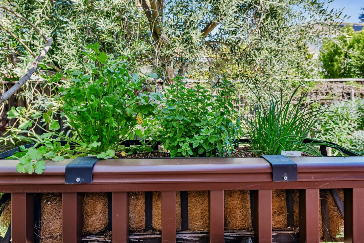 Detail Gallery Image 56 of 99 For 663 Lambeth Ct, Sunnyvale,  CA 94087 - 4 Beds | 3 Baths