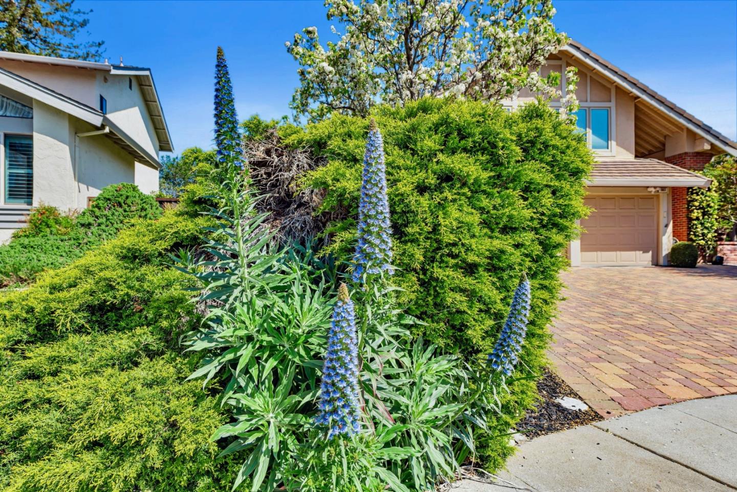Detail Gallery Image 6 of 99 For 663 Lambeth Ct, Sunnyvale,  CA 94087 - 4 Beds | 3 Baths
