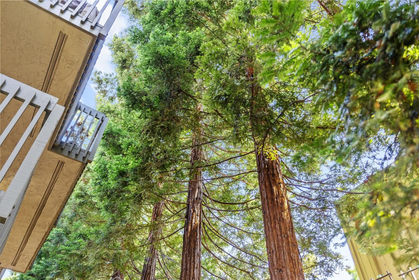 Detail Gallery Image 18 of 28 For 374 Union Ave #C,  Campbell,  CA 95008 - 1 Beds | 1 Baths