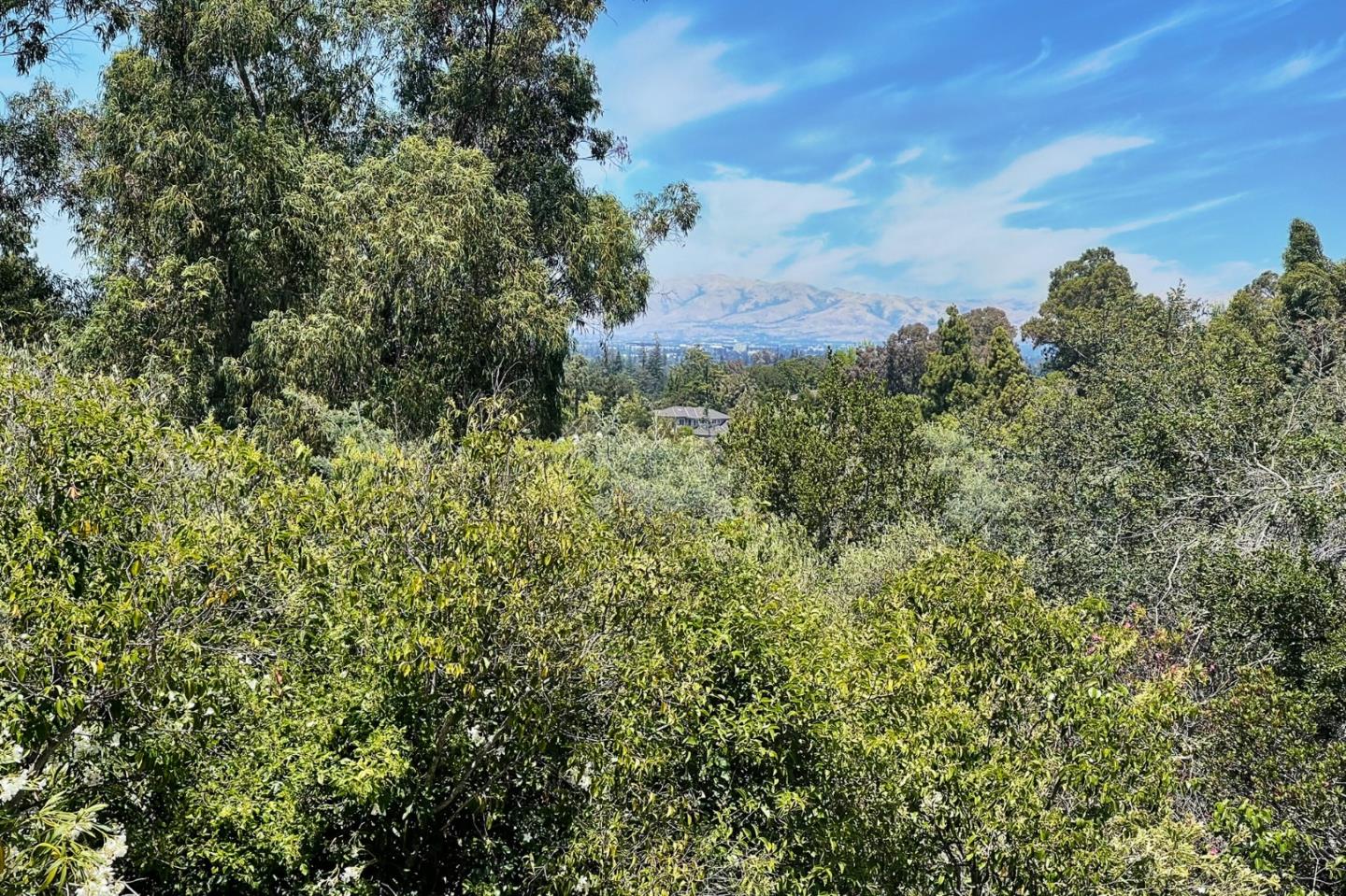 Detail Gallery Image 70 of 74 For 18211 Saratoga Los Gatos Rd, Monte Sereno,  CA 95030 - 4 Beds | 2 Baths