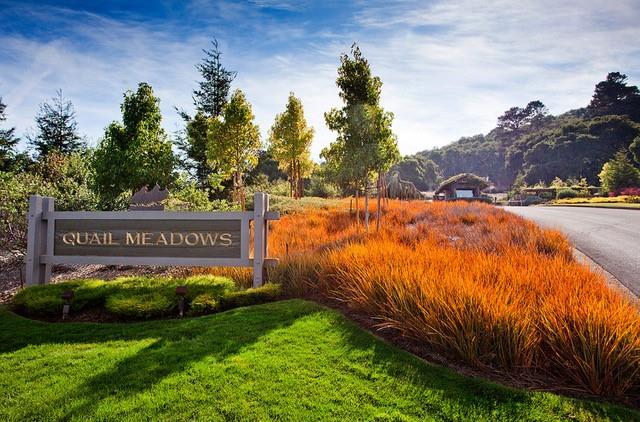 Detail Gallery Image 3 of 14 For 5496 Quail Meadows Dr, Carmel Valley,  CA 93923 - – Beds | – Baths