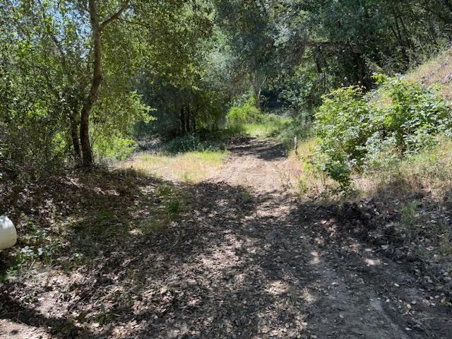 Detail Gallery Image 11 of 24 For 14056 Uvas Rd, Morgan Hill,  CA 95037 - – Beds | – Baths