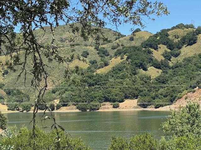 Detail Gallery Image 13 of 24 For 14056 Uvas Rd, Morgan Hill,  CA 95037 - – Beds | – Baths