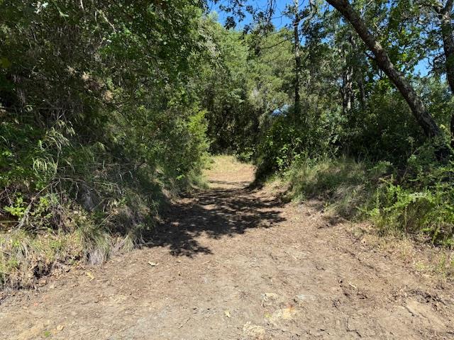 Detail Gallery Image 14 of 24 For 14056 Uvas Rd, Morgan Hill,  CA 95037 - – Beds | – Baths