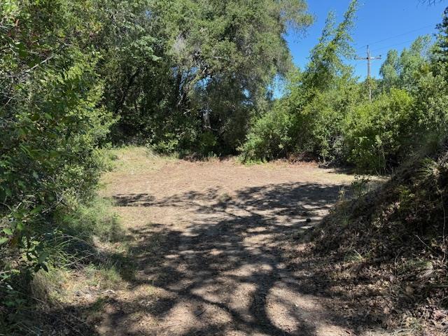 Detail Gallery Image 17 of 24 For 14056 Uvas Rd, Morgan Hill,  CA 95037 - – Beds | – Baths