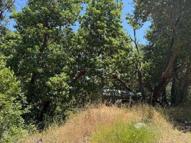 Detail Gallery Image 18 of 24 For 14056 Uvas Rd, Morgan Hill,  CA 95037 - – Beds | – Baths