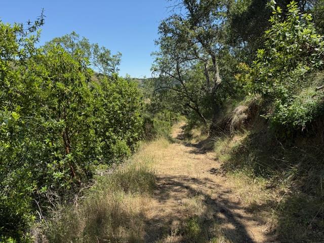 Detail Gallery Image 23 of 24 For 14056 Uvas Rd, Morgan Hill,  CA 95037 - – Beds | – Baths