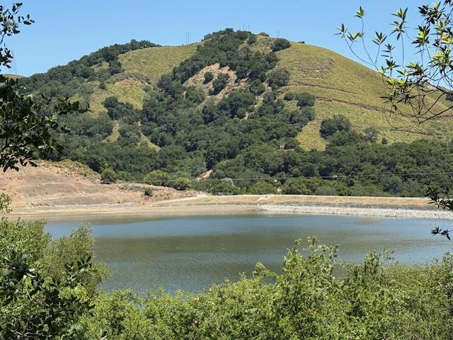 Detail Gallery Image 5 of 24 For 14056 Uvas Rd, Morgan Hill,  CA 95037 - – Beds | – Baths