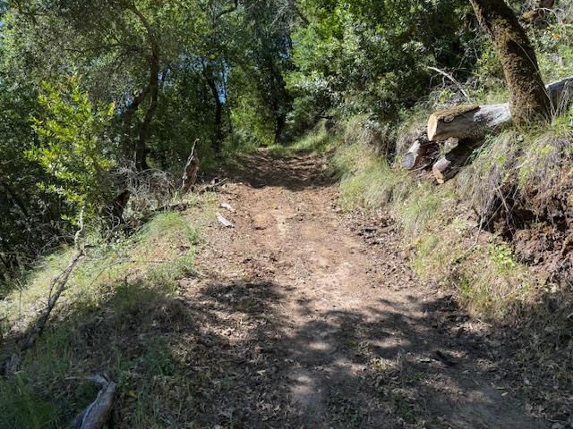 Detail Gallery Image 9 of 24 For 14056 Uvas Rd, Morgan Hill,  CA 95037 - – Beds | – Baths