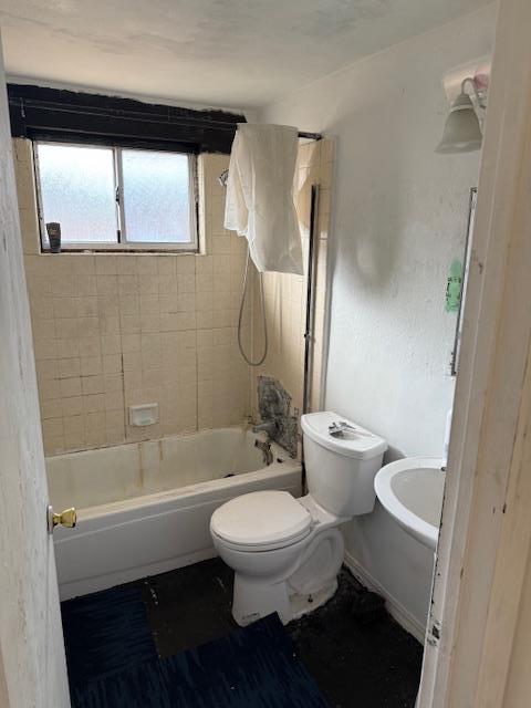 Detail Gallery Image 12 of 24 For 1667 Terilyn Ave, San Jose,  CA 95122 - 3 Beds | 1 Baths