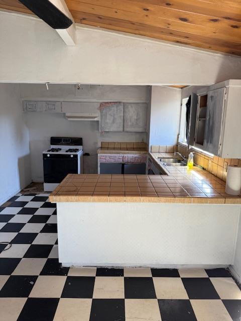 Detail Gallery Image 8 of 24 For 1667 Terilyn Ave, San Jose,  CA 95122 - 3 Beds | 1 Baths
