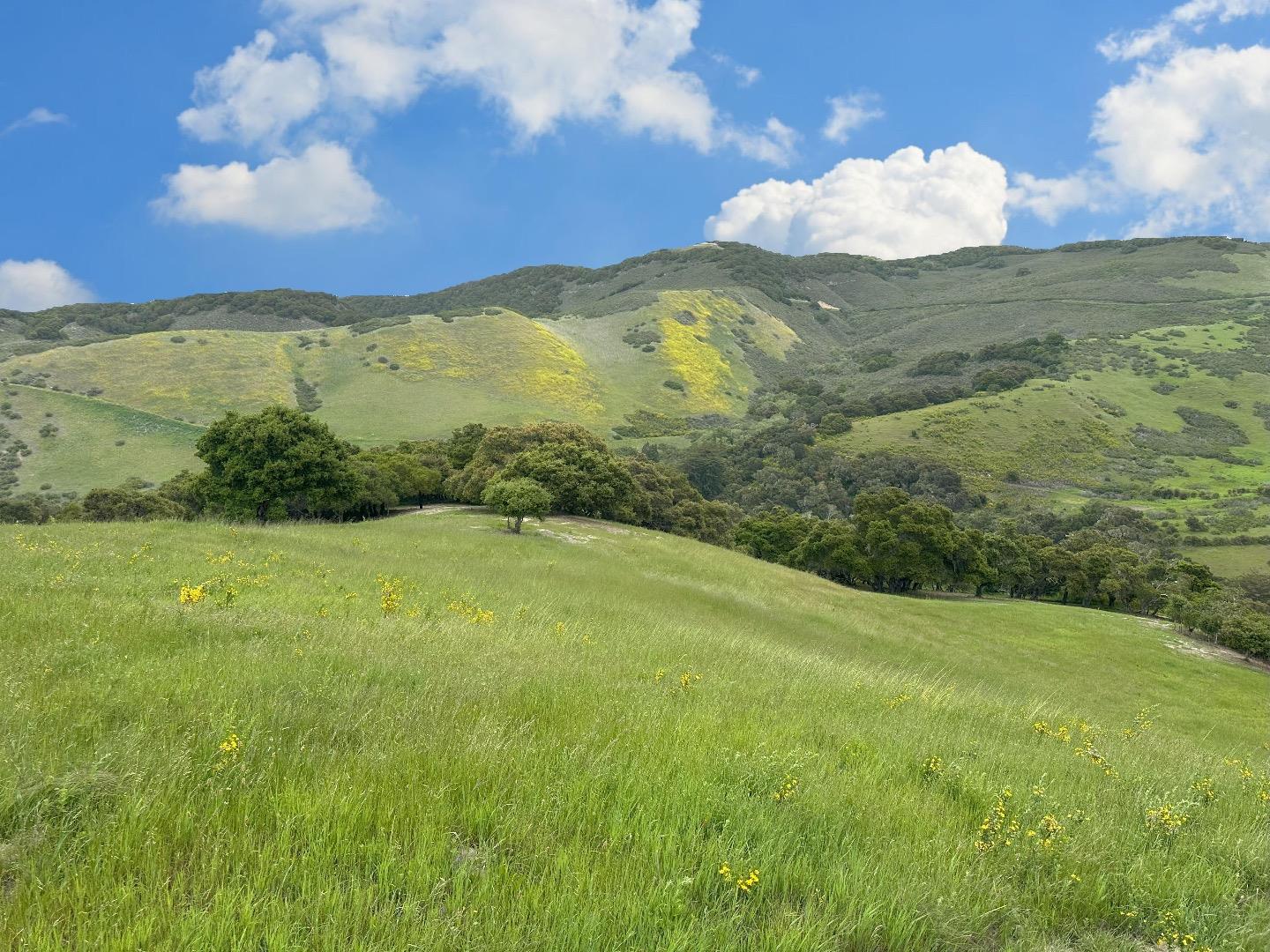 Detail Gallery Image 2 of 14 For 29 Potrero Trl, Carmel,  CA 93923 - – Beds | – Baths