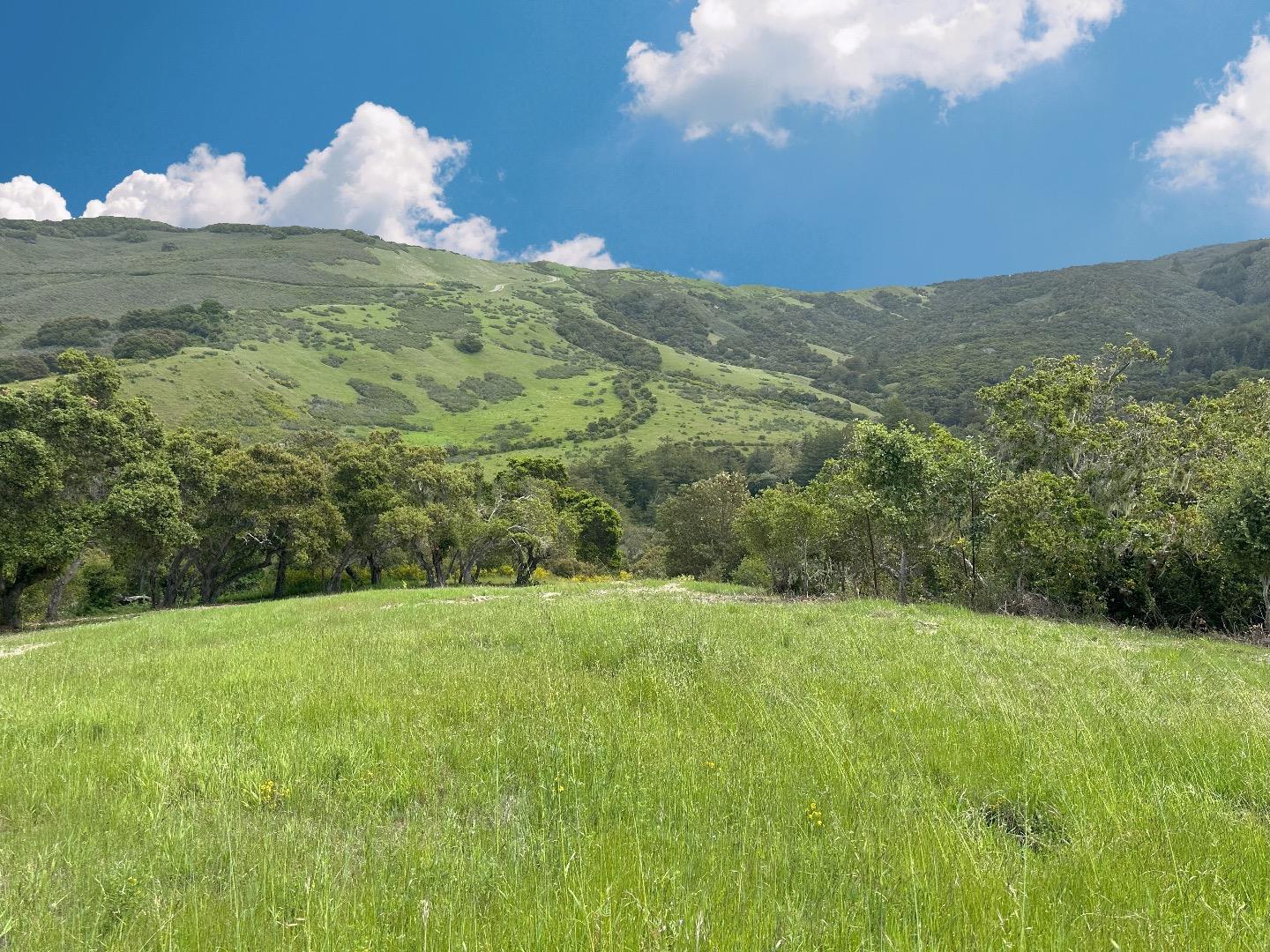 Detail Gallery Image 4 of 14 For 29 Potrero Trl, Carmel,  CA 93923 - – Beds | – Baths