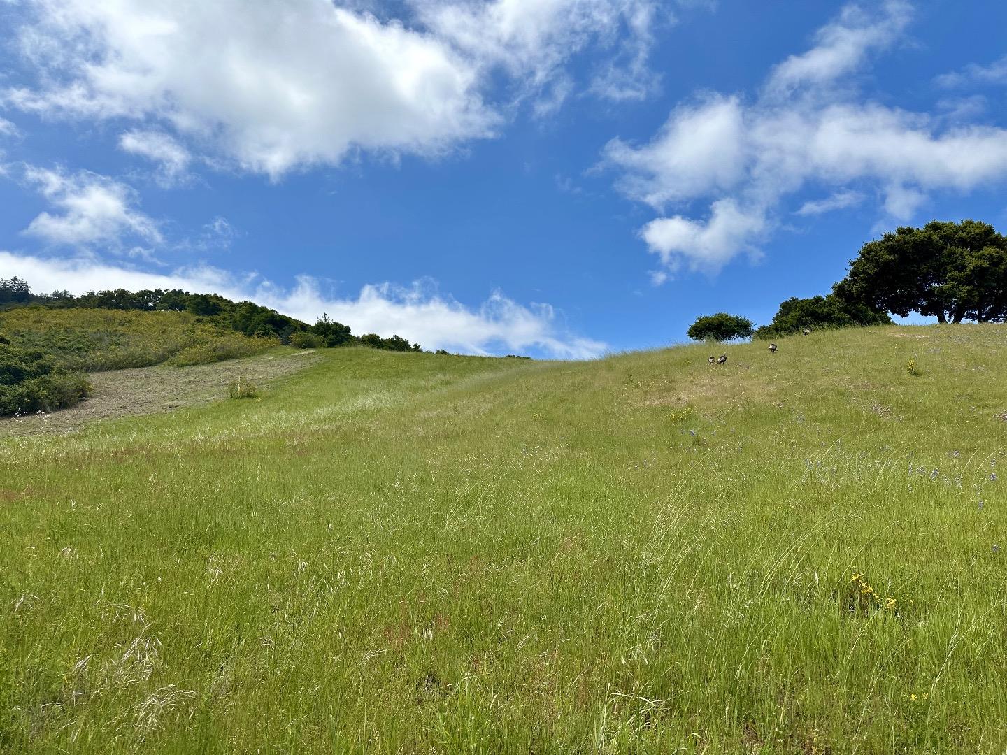 Detail Gallery Image 5 of 14 For 29 Potrero Trl, Carmel,  CA 93923 - – Beds | – Baths
