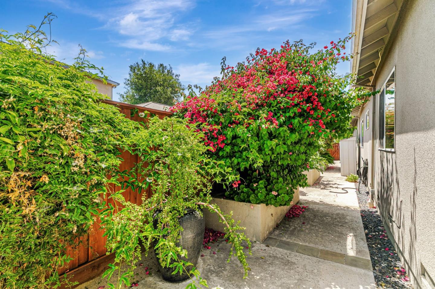 Detail Gallery Image 48 of 61 For 417 Belmont Ave, San Jose,  CA 95125 - 4 Beds | 3 Baths
