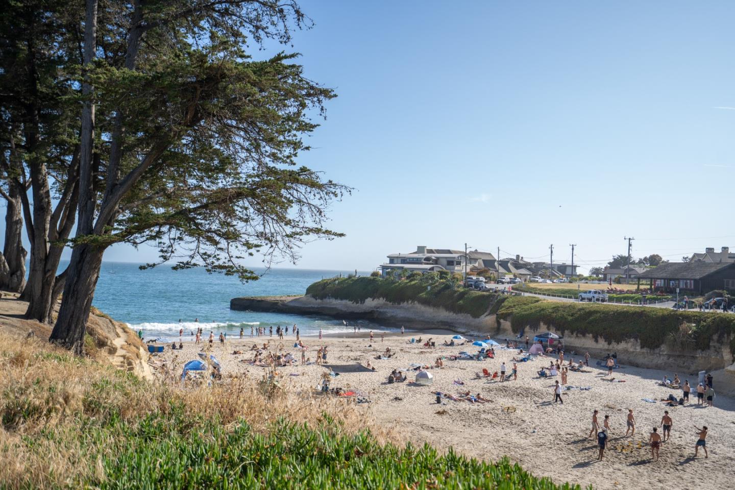 Detail Gallery Image 17 of 18 For 610 14th Ave #3,  Santa Cruz,  CA 95062 - 1 Beds | 1 Baths