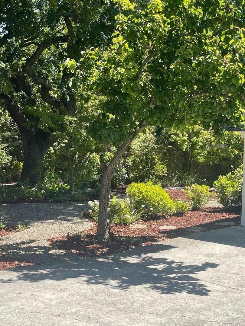 Detail Gallery Image 52 of 63 For 23951 Spalding Ave, Los Altos,  CA 94024 - 4 Beds | 2 Baths