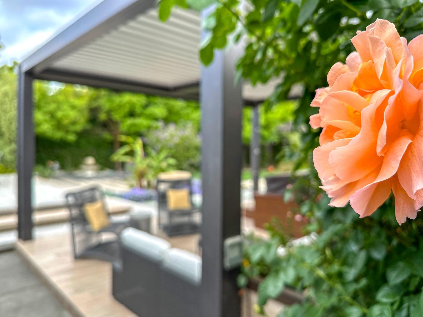 Detail Gallery Image 36 of 66 For 2618 Brewster Ave, Redwood City,  CA 94062 - 3 Beds | 3/1 Baths
