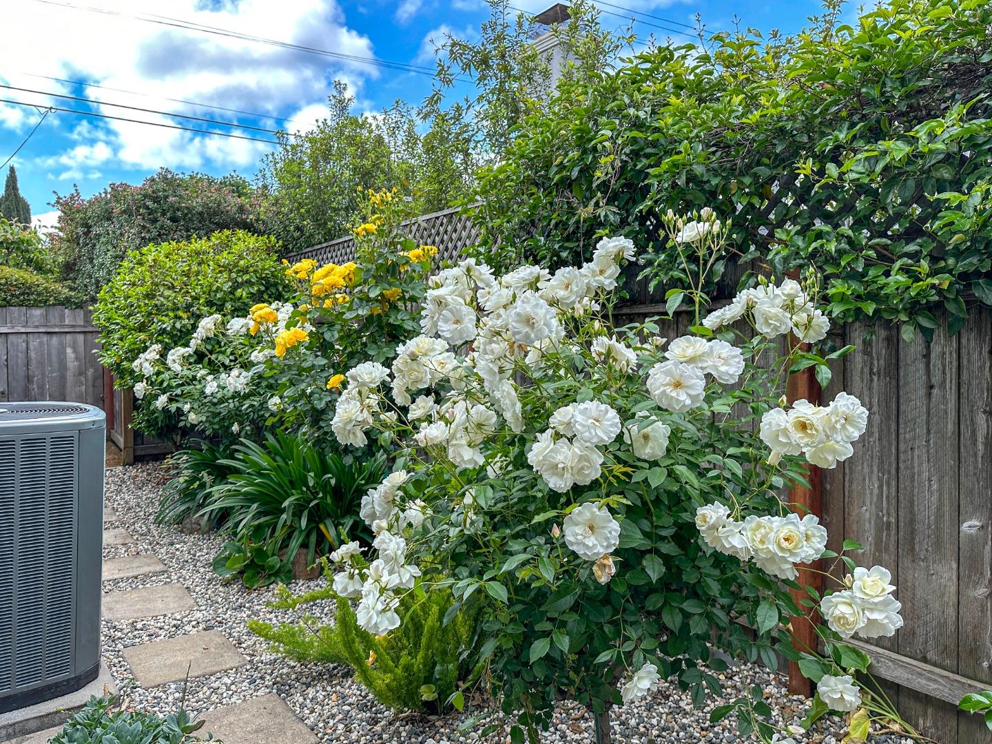 Detail Gallery Image 55 of 66 For 2618 Brewster Ave, Redwood City,  CA 94062 - 3 Beds | 3/1 Baths