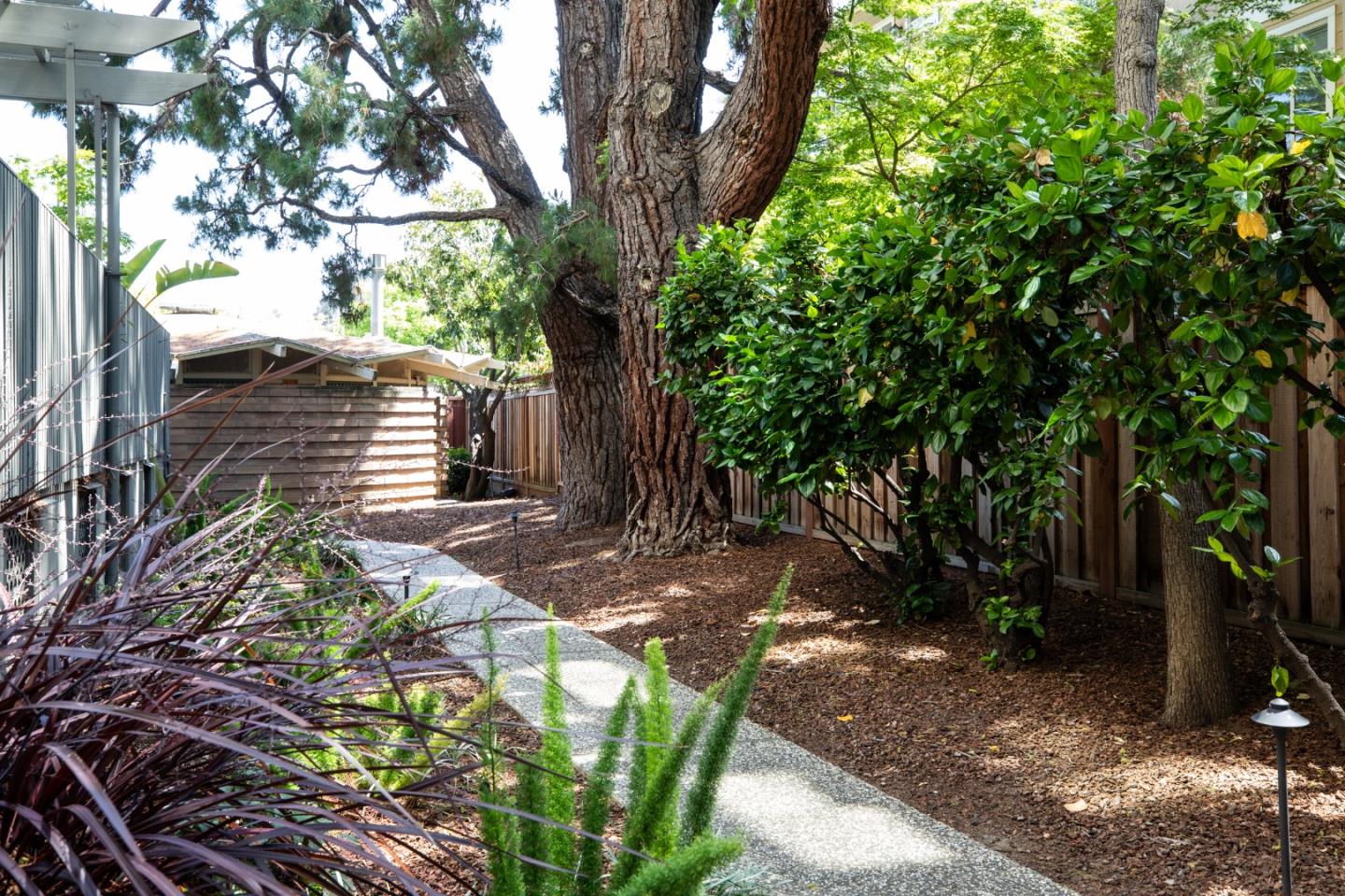 Detail Gallery Image 21 of 30 For 360 Everett Ave 5b,  Palo Alto,  CA 94301 - 2 Beds | 2 Baths