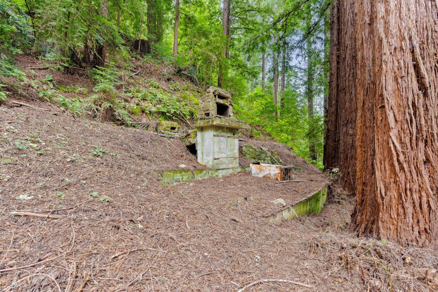 Detail Gallery Image 14 of 30 For 612 Nelson Rd, Scotts Valley,  CA 95066 - – Beds | – Baths