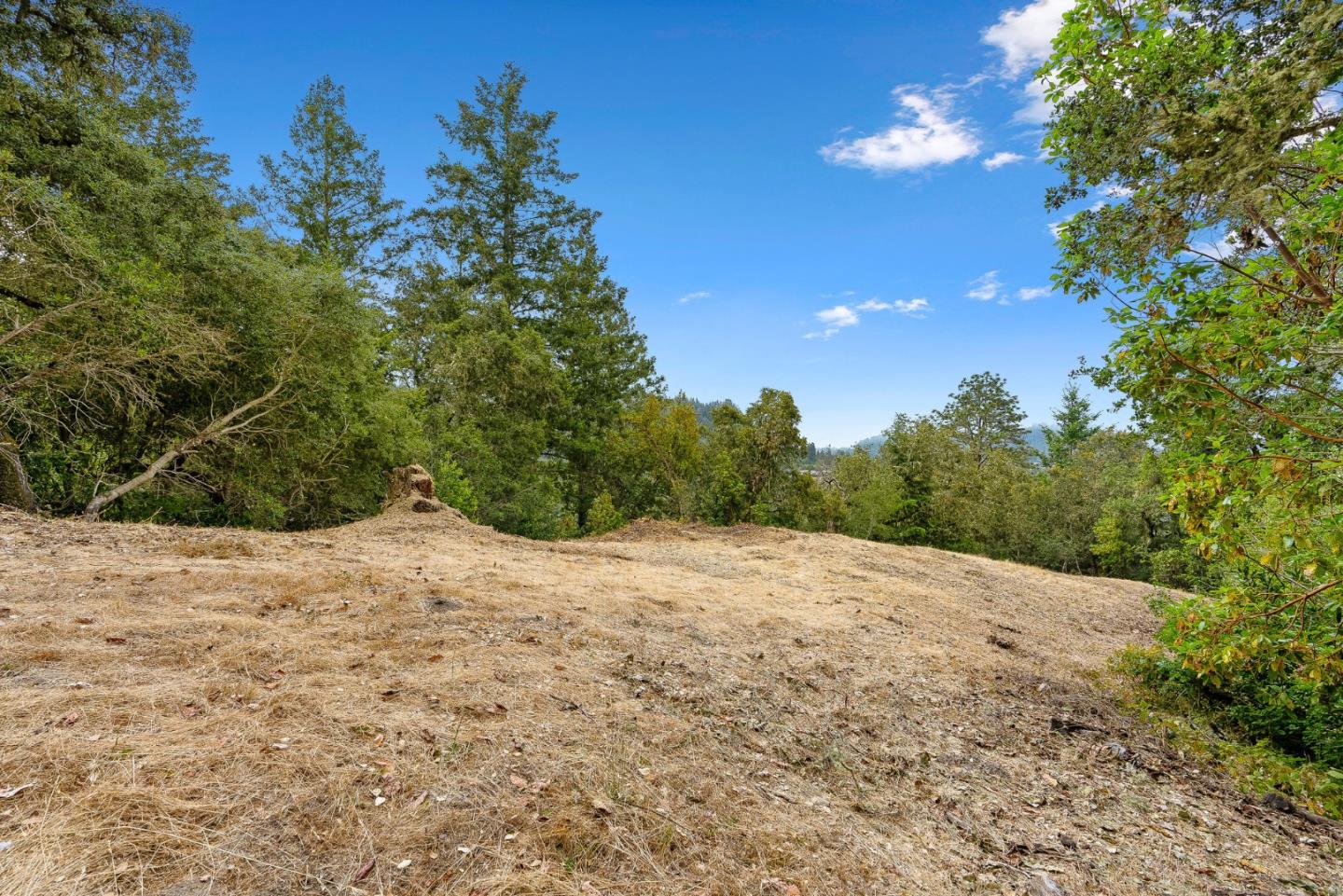 Detail Gallery Image 24 of 30 For 612 Nelson Rd, Scotts Valley,  CA 95066 - – Beds | – Baths
