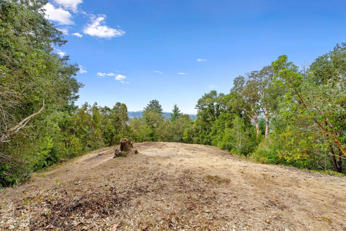 Detail Gallery Image 25 of 30 For 612 Nelson Rd, Scotts Valley,  CA 95066 - – Beds | – Baths