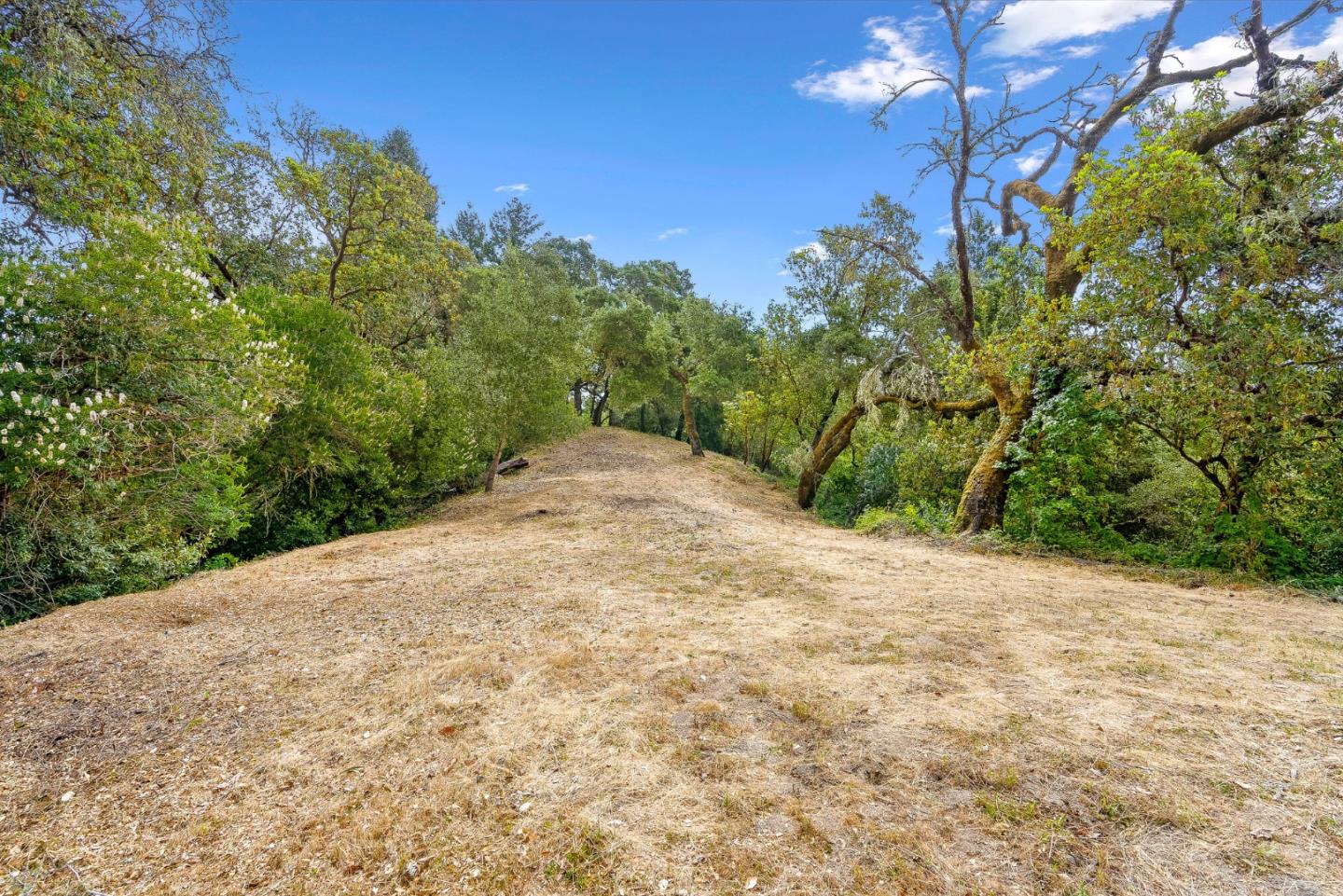 Detail Gallery Image 27 of 30 For 612 Nelson Rd, Scotts Valley,  CA 95066 - – Beds | – Baths