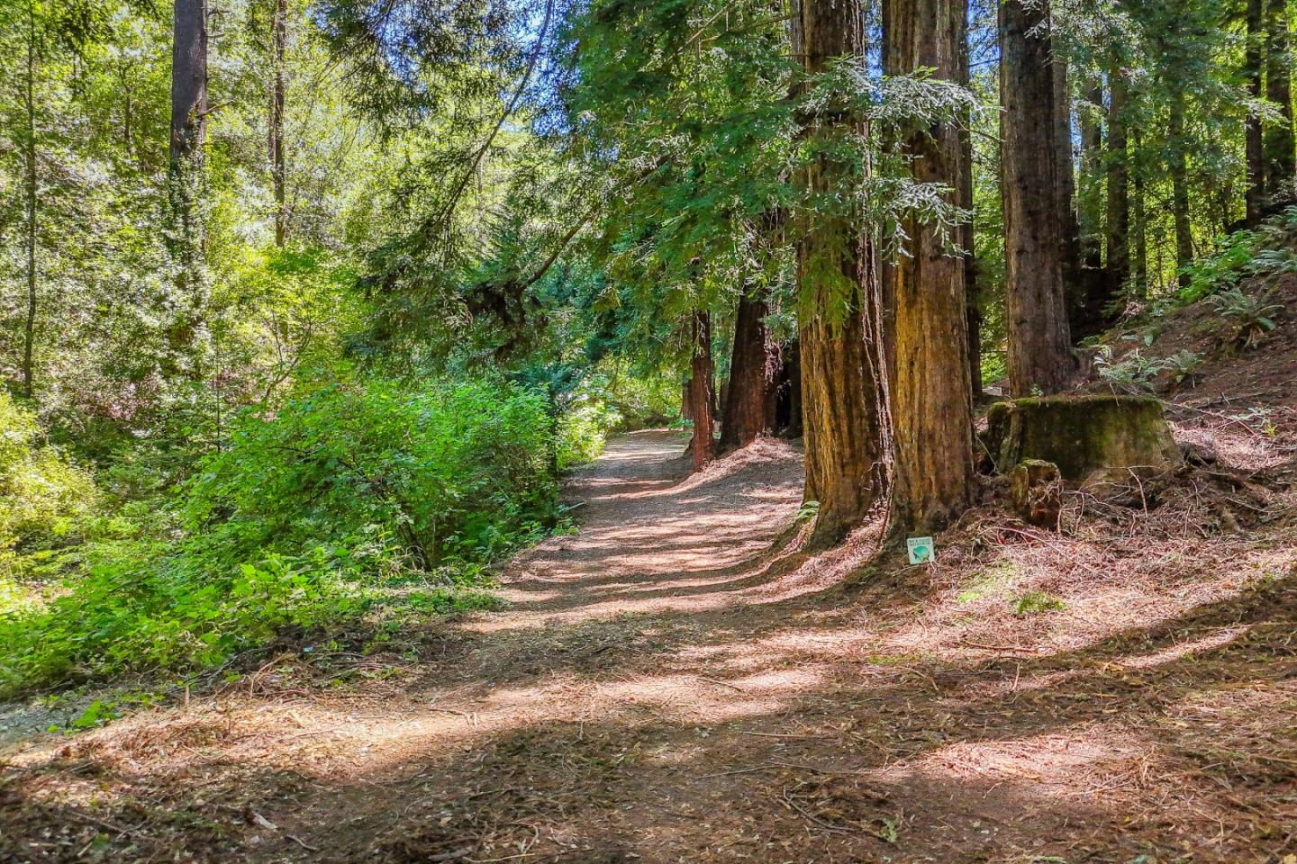 Detail Gallery Image 6 of 30 For 612 Nelson Rd, Scotts Valley,  CA 95066 - – Beds | – Baths