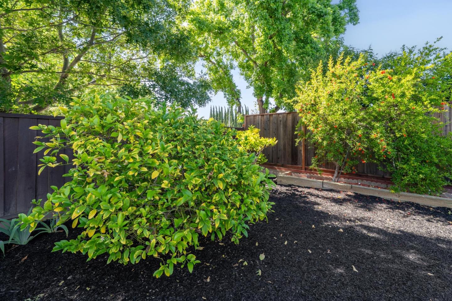 Detail Gallery Image 38 of 46 For 1410 Thunderbird Ave, Sunnyvale,  CA 94087 - 3 Beds | 2 Baths