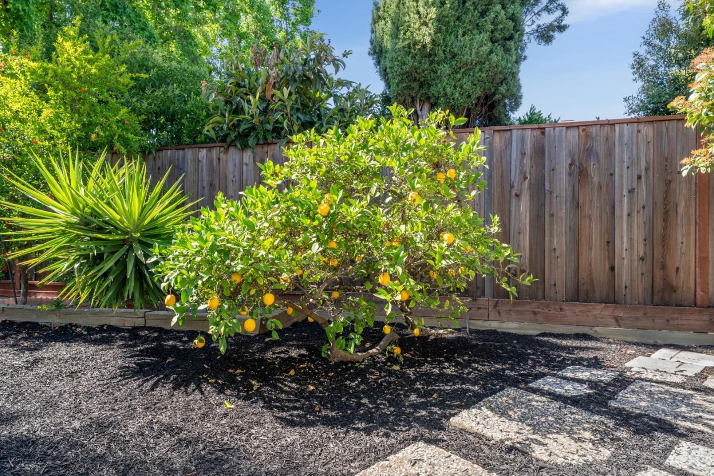 Detail Gallery Image 39 of 46 For 1410 Thunderbird Ave, Sunnyvale,  CA 94087 - 3 Beds | 2 Baths