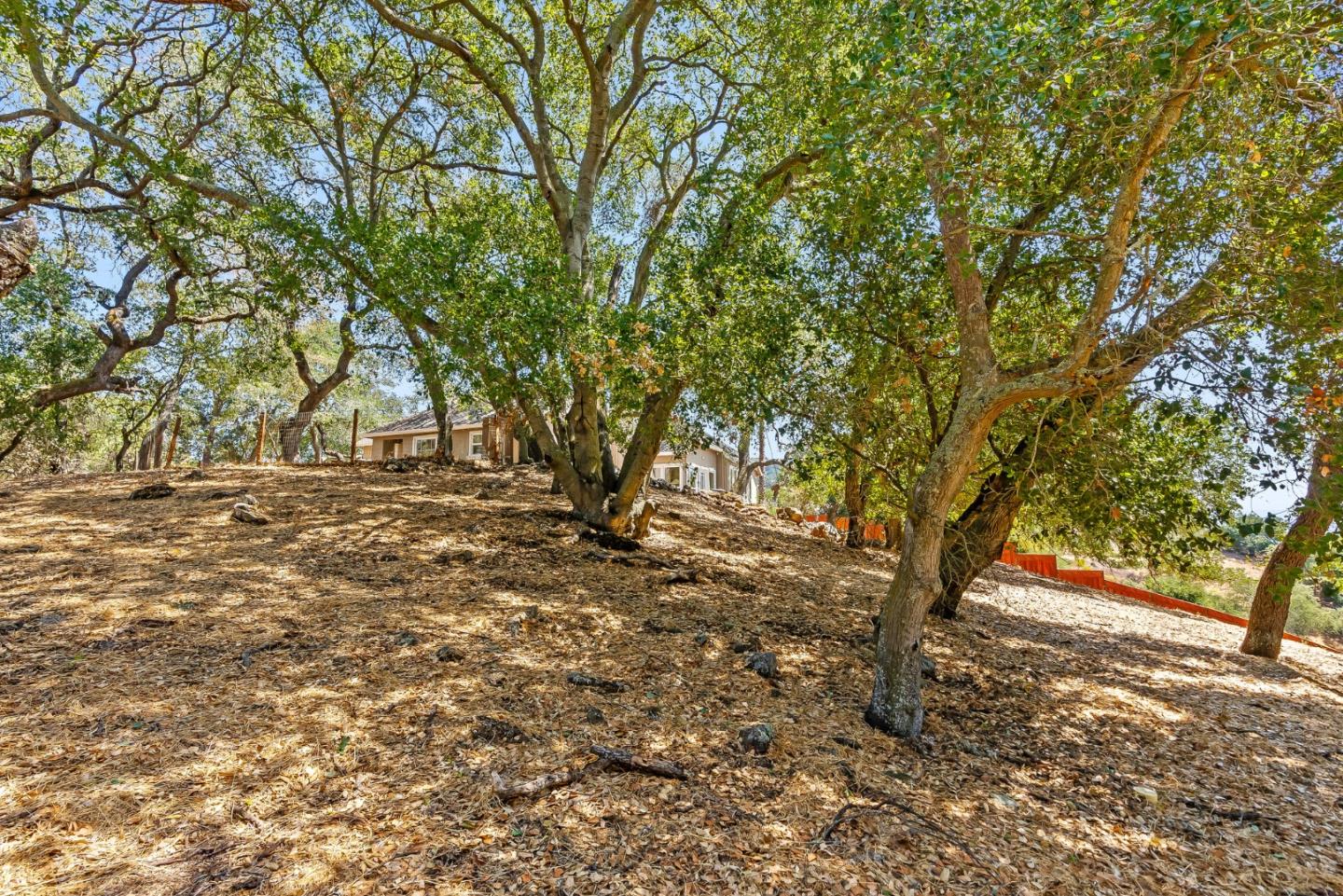 Detail Gallery Image 29 of 41 For 1800 Jasper Highlands Dr, Morgan Hill,  CA 95037 - 3 Beds | 2/1 Baths