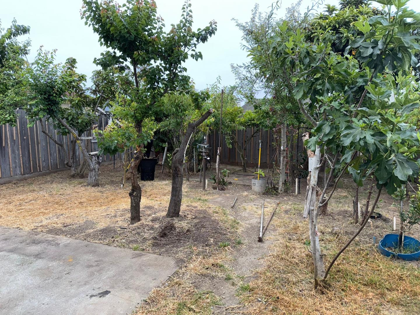 Detail Gallery Image 18 of 18 For 1648 Chico Way, Salinas,  CA 93906 - 3 Beds | 1/1 Baths