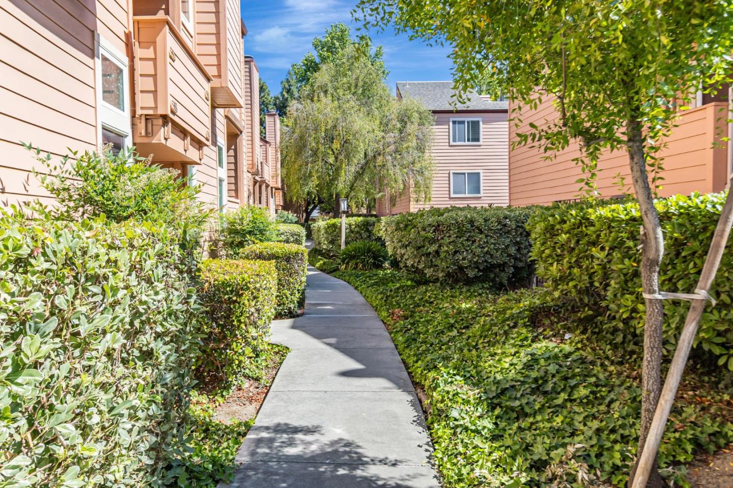 Detail Gallery Image 41 of 47 For 5386 Borneo Cir, San Jose,  CA 95123 - 3 Beds | 2 Baths