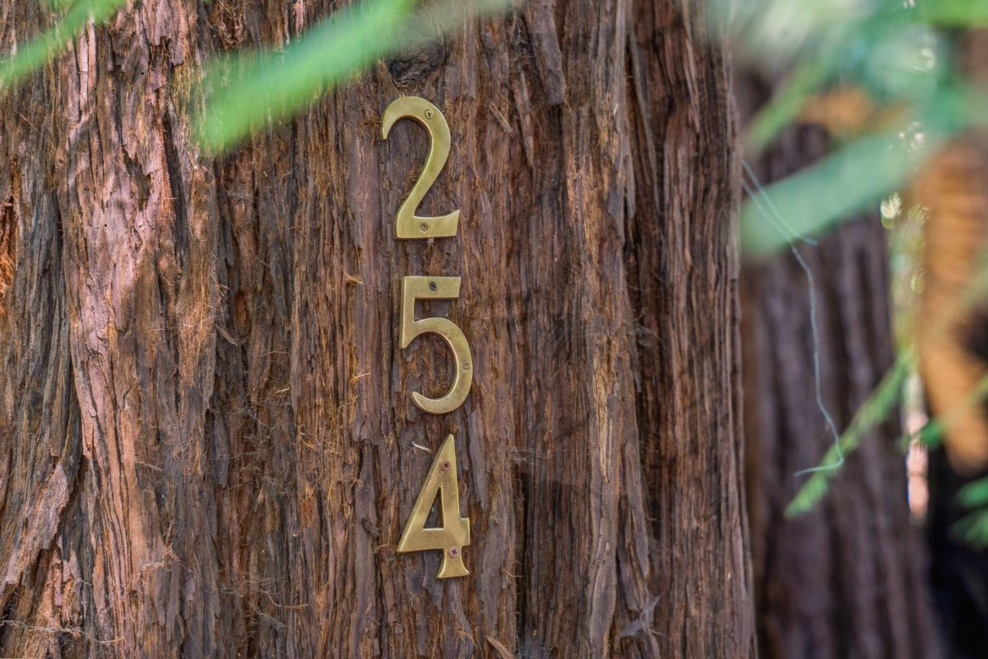 Detail Gallery Image 62 of 69 For 254 Teilh Dr, Boulder Creek,  CA 95006 - 3 Beds | 2 Baths