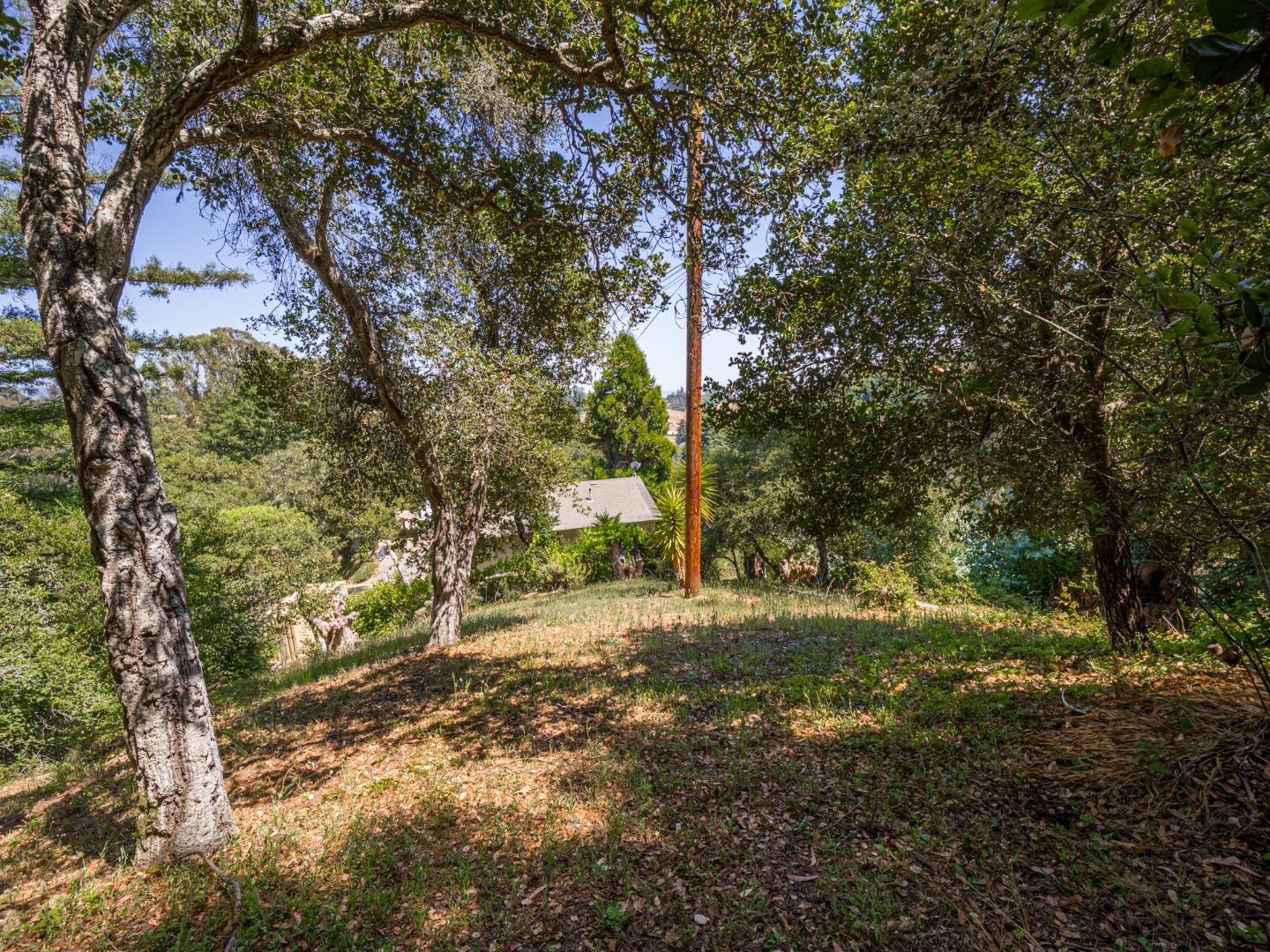 Detail Gallery Image 39 of 66 For 4151 Freedom Blvd, Aptos,  CA 95003 - 1 Beds | 1 Baths