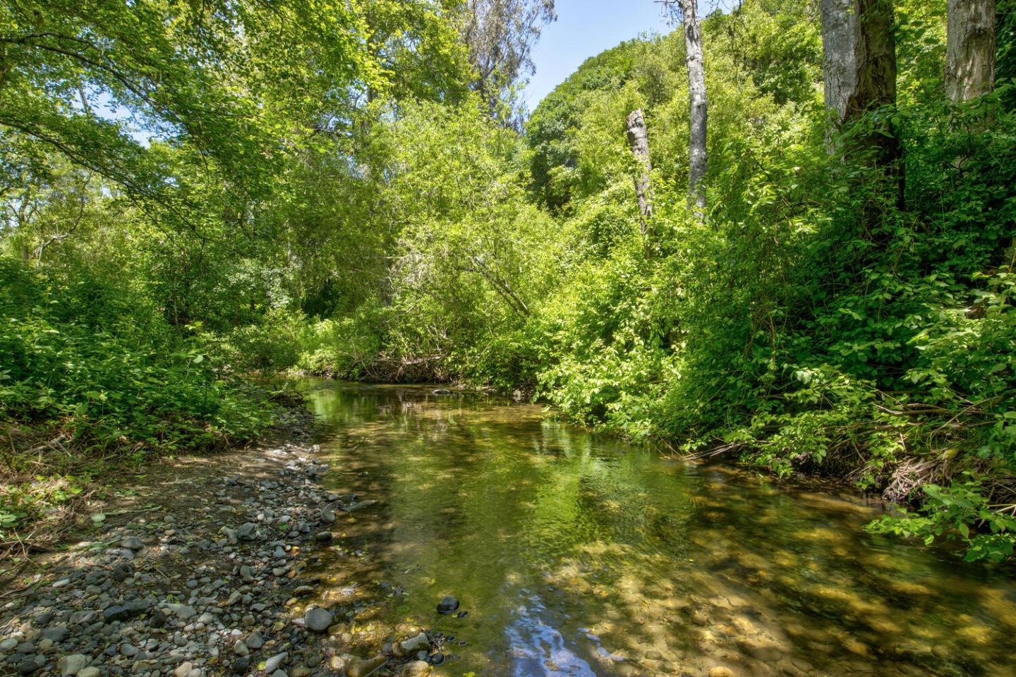 Detail Gallery Image 50 of 94 For 5090 La Honda Rd, San Gregorio,  CA 94074 - 2 Beds | 1 Baths