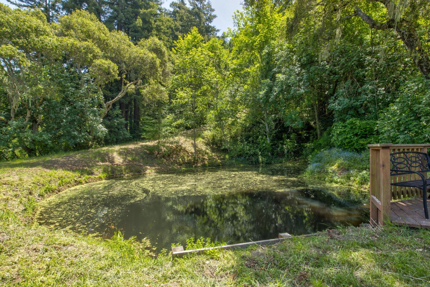 Detail Gallery Image 57 of 94 For 5090 La Honda Rd, San Gregorio,  CA 94074 - 2 Beds | 1 Baths