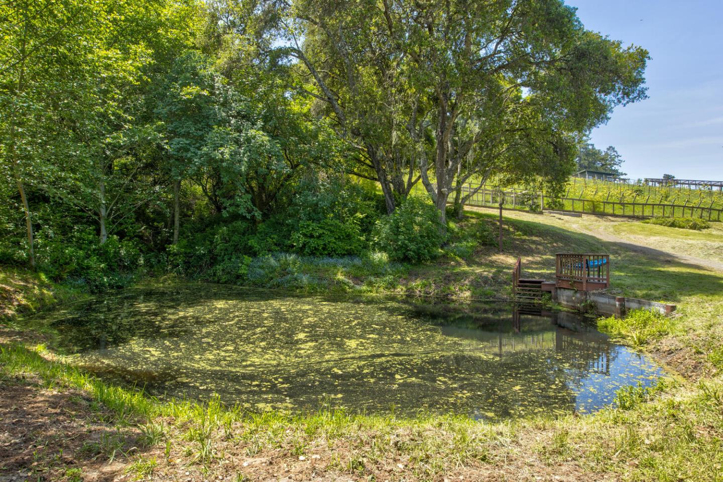 Detail Gallery Image 58 of 94 For 5090 La Honda Rd, San Gregorio,  CA 94074 - 2 Beds | 1 Baths
