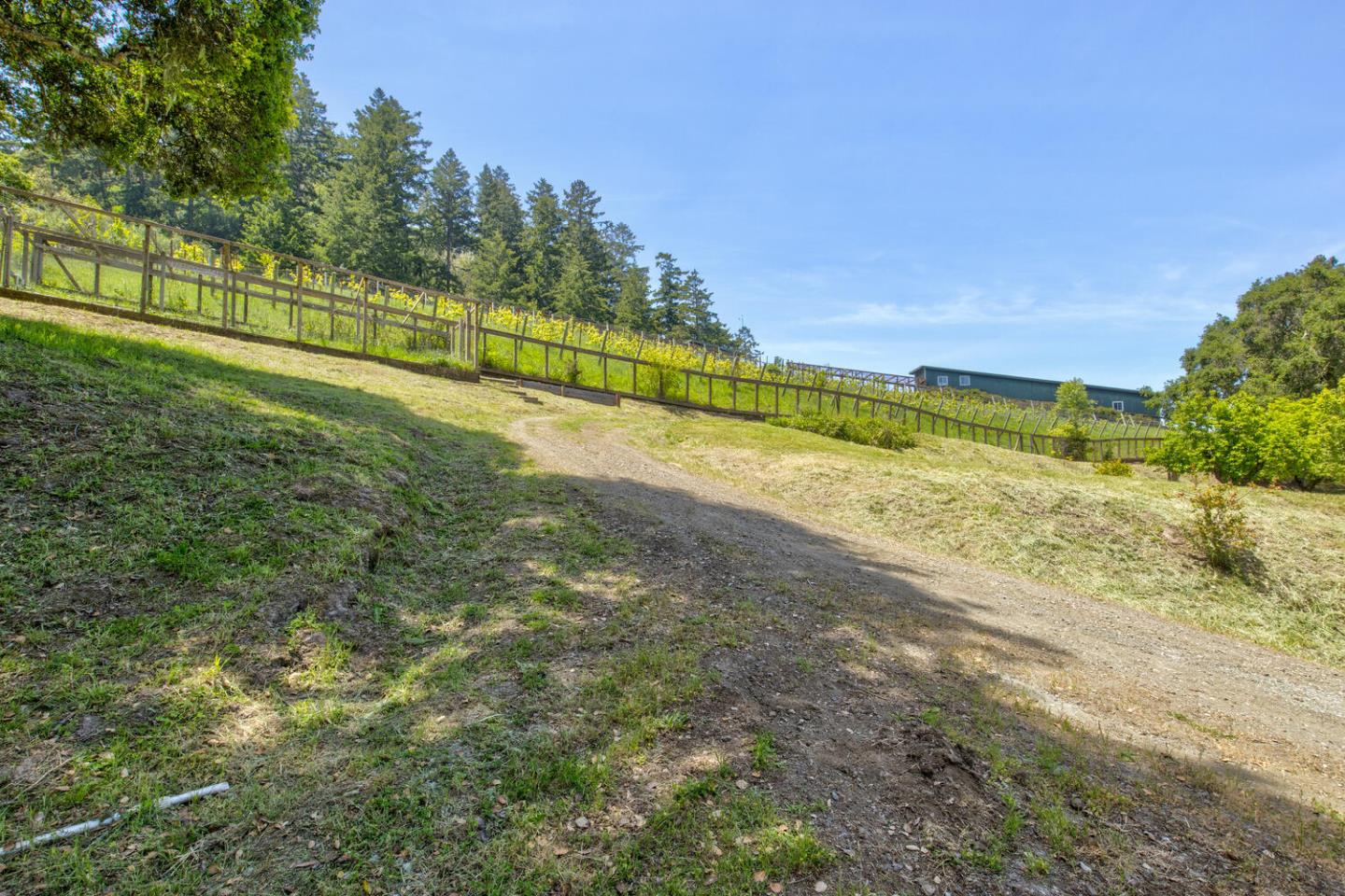 Detail Gallery Image 59 of 94 For 5090 La Honda Rd, San Gregorio,  CA 94074 - 2 Beds | 1 Baths