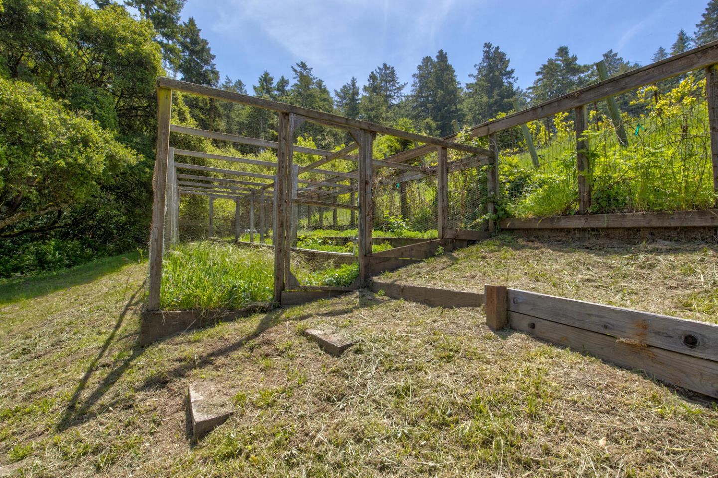 Detail Gallery Image 60 of 94 For 5090 La Honda Rd, San Gregorio,  CA 94074 - 2 Beds | 1 Baths