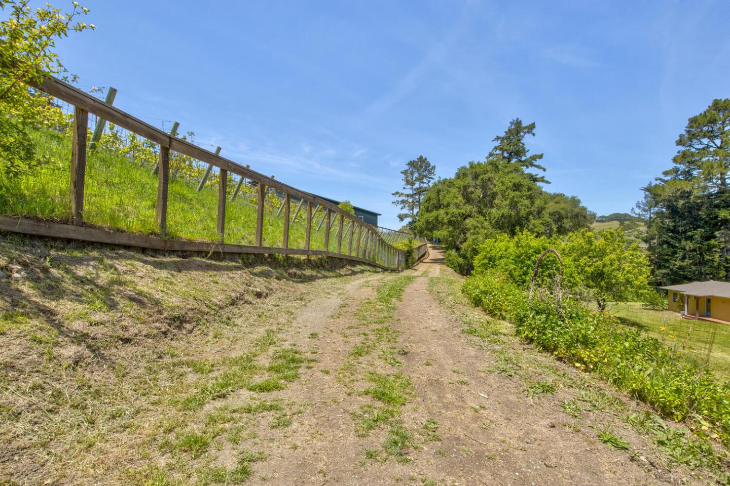 Detail Gallery Image 61 of 94 For 5090 La Honda Rd, San Gregorio,  CA 94074 - 2 Beds | 1 Baths