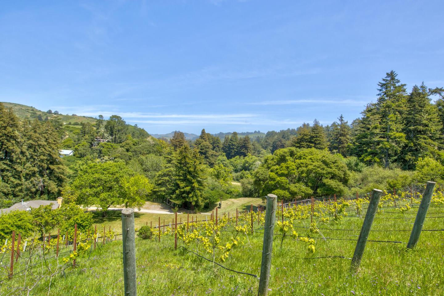 Detail Gallery Image 68 of 94 For 5090 La Honda Rd, San Gregorio,  CA 94074 - 2 Beds | 1 Baths