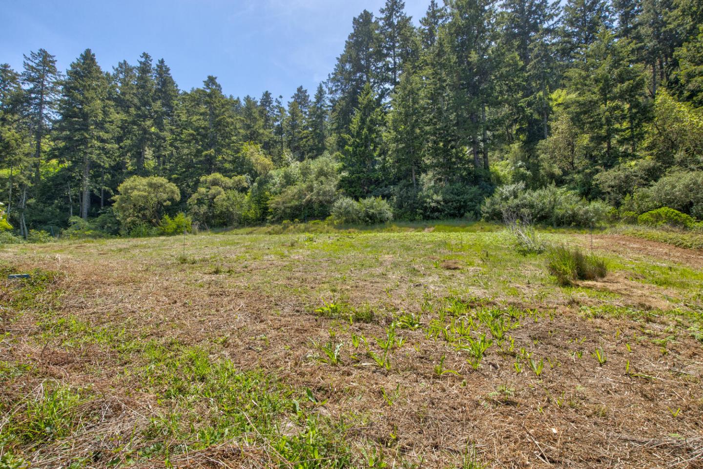 Detail Gallery Image 69 of 94 For 5090 La Honda Rd, San Gregorio,  CA 94074 - 2 Beds | 1 Baths