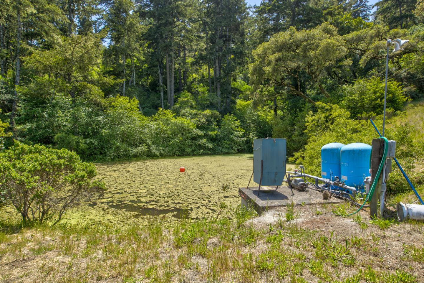 Detail Gallery Image 72 of 94 For 5090 La Honda Rd, San Gregorio,  CA 94074 - 2 Beds | 1 Baths