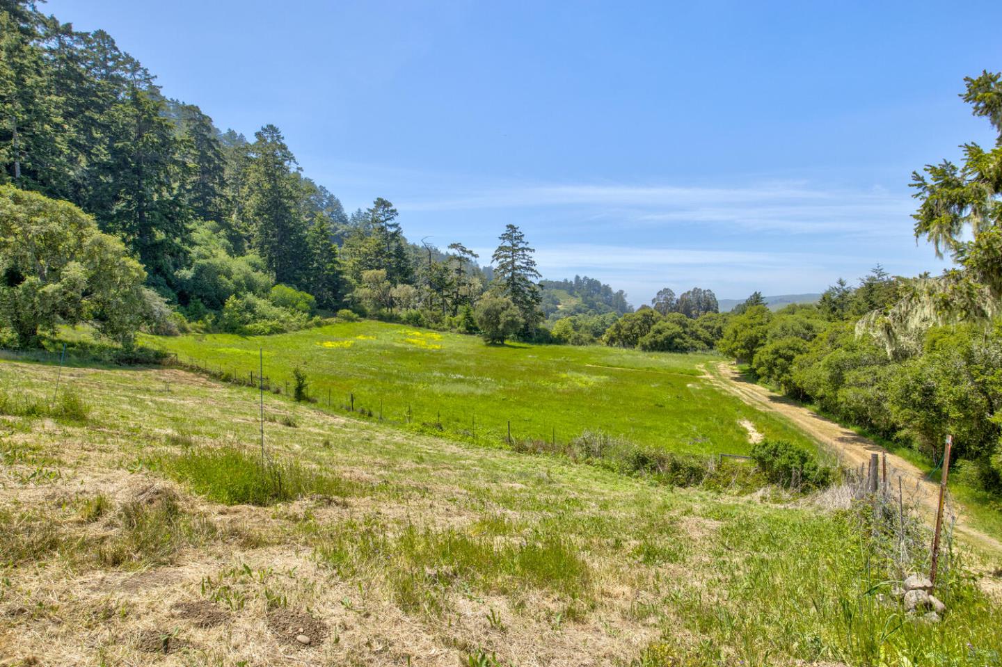 Detail Gallery Image 73 of 94 For 5090 La Honda Rd, San Gregorio,  CA 94074 - 2 Beds | 1 Baths