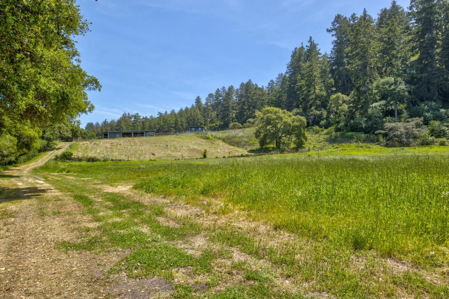 Detail Gallery Image 74 of 94 For 5090 La Honda Rd, San Gregorio,  CA 94074 - 2 Beds | 1 Baths