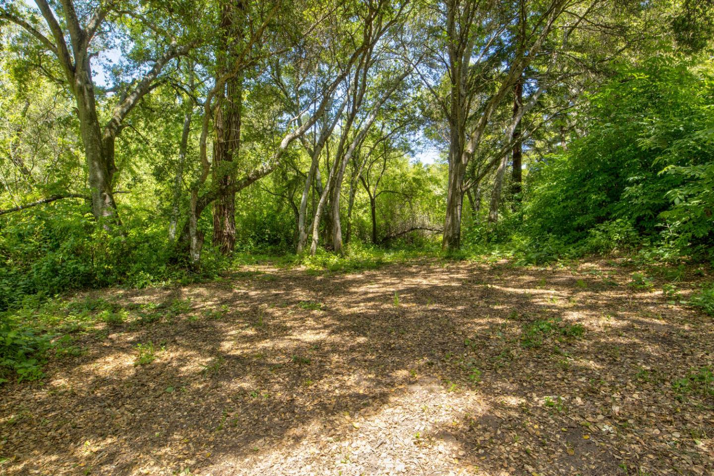 Detail Gallery Image 79 of 94 For 5090 La Honda Rd, San Gregorio,  CA 94074 - 2 Beds | 1 Baths