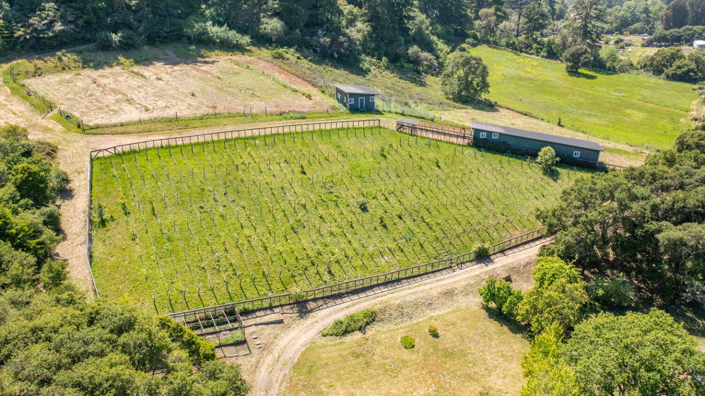 Detail Gallery Image 85 of 94 For 5090 La Honda Rd, San Gregorio,  CA 94074 - 2 Beds | 1 Baths