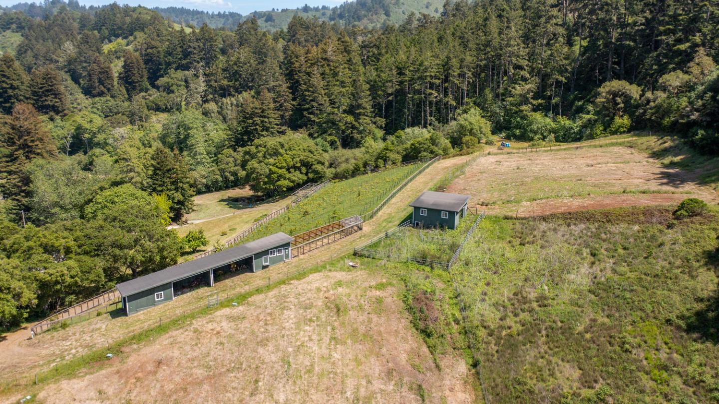 Detail Gallery Image 86 of 94 For 5090 La Honda Rd, San Gregorio,  CA 94074 - 2 Beds | 1 Baths